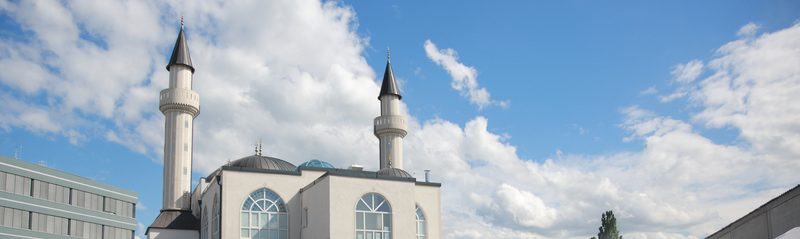 Camiiye bakış